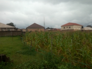 Image 1 Title