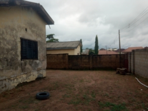 Image 1 Title