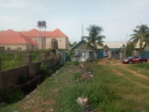 Image 1 Title