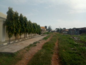 Image 1 Title