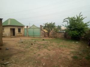 Image 1 Title