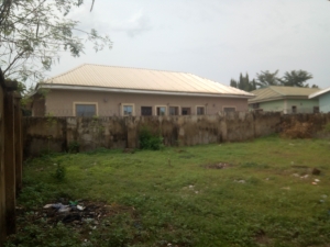 Image 1 Title
