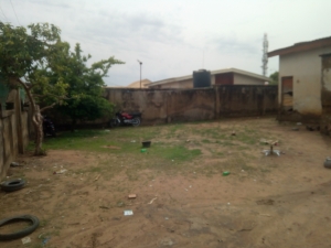 Image 1 Title