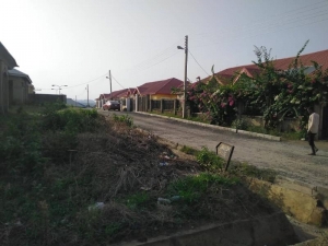Image 1 Title