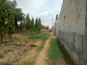 Image 1 Title