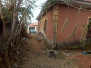 Image 1 Title