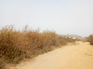 Image 1 Title