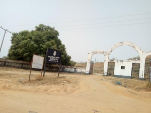 Image 1 Title