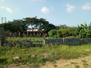 Image 1 Title