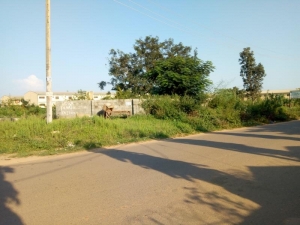 Image 1 Title