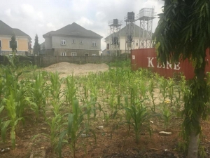 Duplex Plot For Sale In An Estate At Main Katampe 800 Meter Square of Land for Sale Katampe Main Abuja Vetra  Property