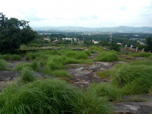 Image 1 Title