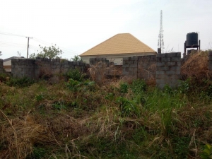Image 1 Title