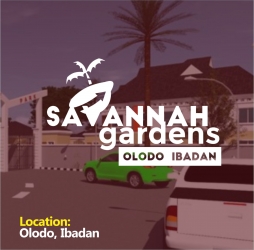 Commercial & Residential Plots Of Land  Land for Sale Egbeda oyo Oyo Vetra  Property
