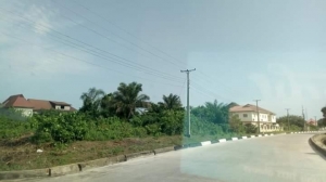 Image 1 Title
