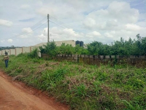 Image 1 Title