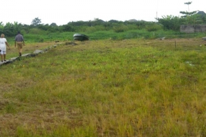 Buy And Build Plots Of Land For Sale In Festac  Land for Sale Isolo Lagos Vetra  Property