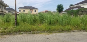 Dry Land For Sale At Vgc Lekki Lagos Land for Sale Lekki Lagos Vetra  Property