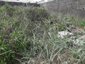 Plot Of Land Land for Sale Epe Lagos Vetra  Property