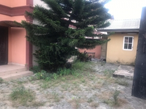 Image 1 Title