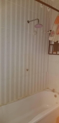 Image 1 Title