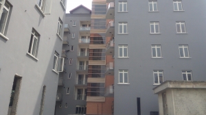 Image 1 Title