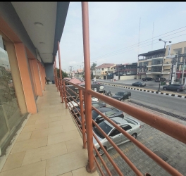 Image 1 Title
