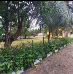 Image 1 Title