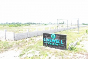 600 Square Meters At Livewell Estate  600 Meter Square of Land for Sale Ibeju Lekki Lagos Vetra  Property