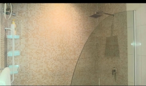 Image 1 Title
