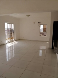 Spacious 3 Bedroom Penthouse  3 bedroom Penthouse for Rent Lekki Lagos Vetra  Property