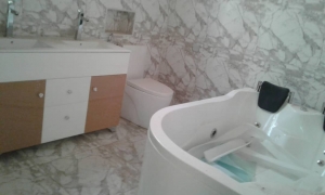 :::: Newly Built 5bedroom Detach Duplx Wth A Room Bq  5 bedroom Detached Duplex for Sale Ojodu Lagos Vetra  Property