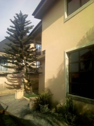Image 1 Title