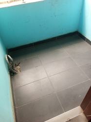 Image 1 Title