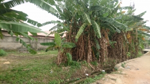 Full Plot Of Land At 60*120 Sqm In Ogudu Gra 7,200 Meter Square of Land for Sale Ogudu Lagos Vetra  Property