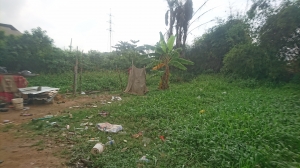 Full Plot Of Land At 60*120 Sqm In Ogudu Gra 7,200 Meter Square of Land for Sale Ogudu Lagos Vetra  Property