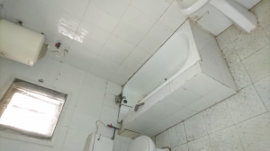 Image 1 Title