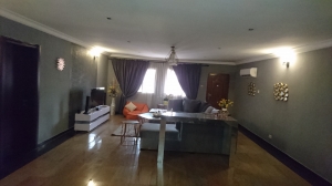 Luxury 2 Bedroom Executive Flat In Lekki With Pool  2 bedroom Mini Flat for Rent Lekki Lagos Vetra  Property