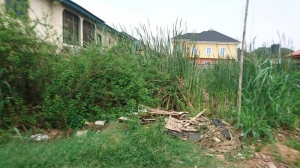 Plot Of Land Land for Sale Ogudu Lagos Vetra  Property