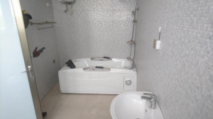 Image 1 Title