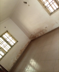 Image 1 Title