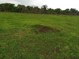 2 Acres Of Land 2 Acres of Land for Sale Ojodu Lagos Vetra  Property