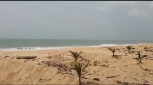 Image 1 Title