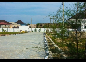 Image 1 Title