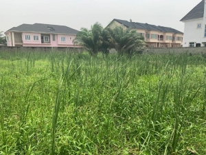 1732.139sqm Of Completely Dry Land  1,732 Meter Square of Land for Sale Lekki Lagos Vetra  Property