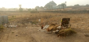 1300sqm Of Flat Dry Land With C Of O  1,300 Meter Square of Land for Sale Jahi Abuja Vetra  Property