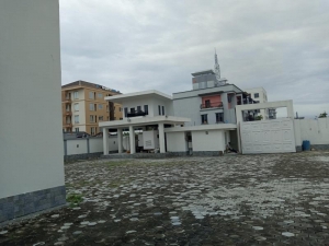 Image 1 Title