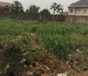 Plots Of Land  Land for Sale Shomolu Lagos Vetra  Property