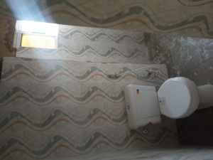 Image 1 Title