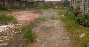 Image 1 Title